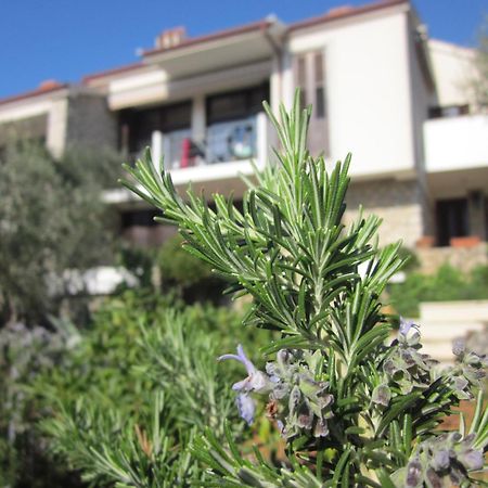 Apartments Palma & Pino Cres Exterior foto